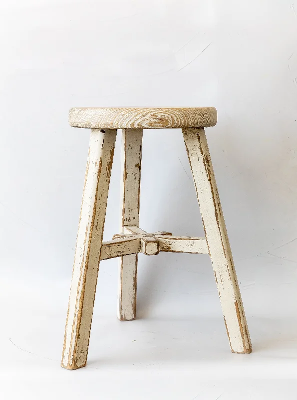 Bristol Stool