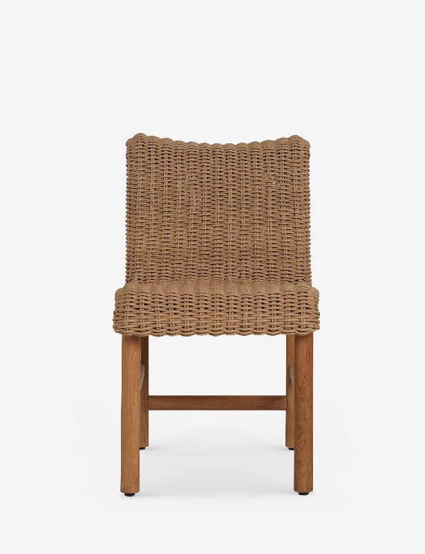 Gally Indoor / Outdoor Dining Chair