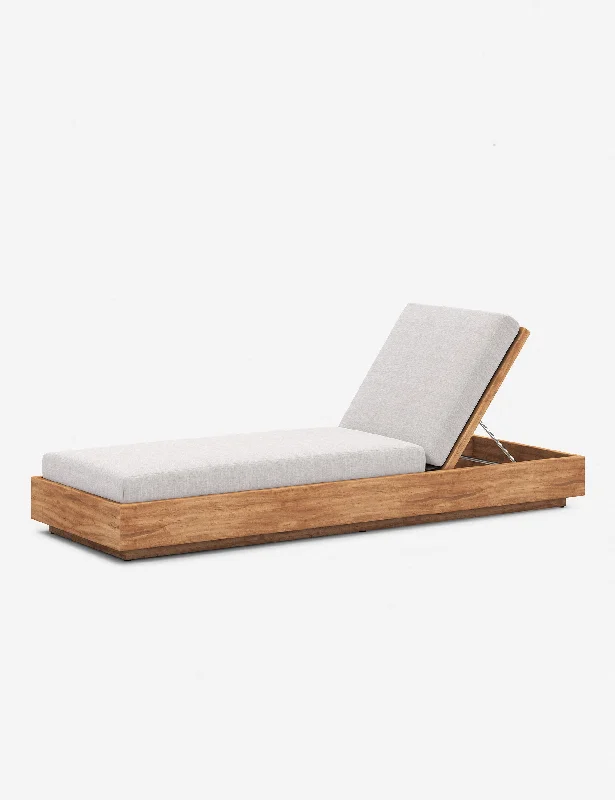 Minnette Indoor / Outdoor Chaise