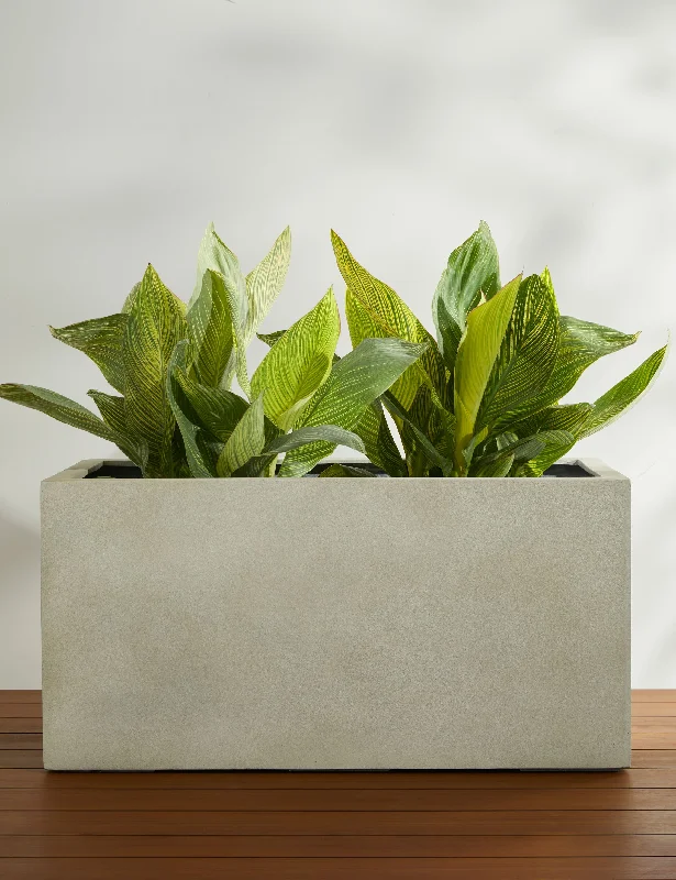 Sandal Planter by Campania International